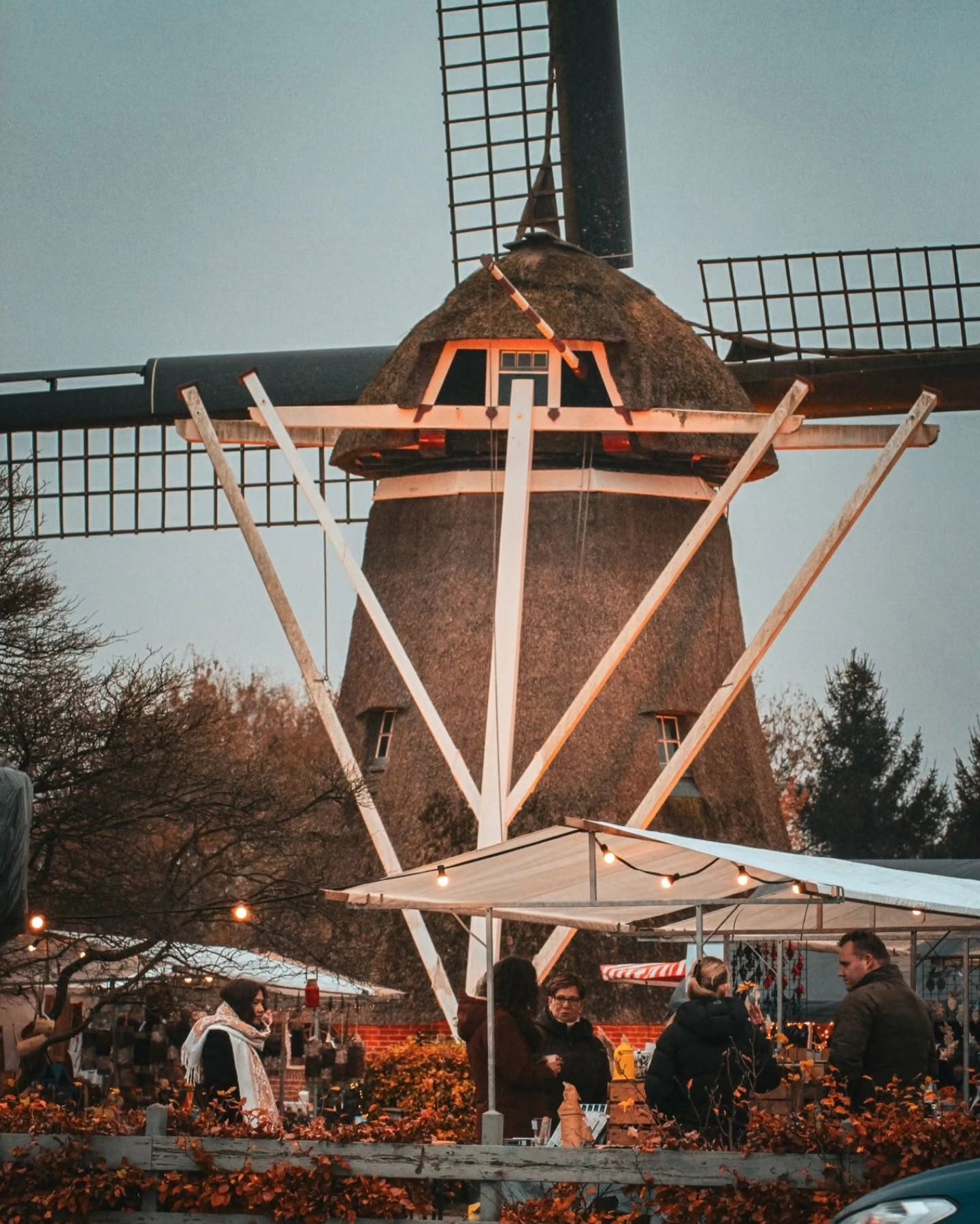 Rondom de molen
